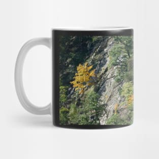 Bodetal, rock, cliff, cliff, Thale, Harz, Germany, autumn Mug